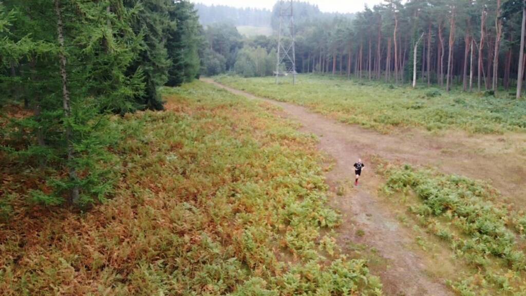 trail running around the South Downs in Hampshire