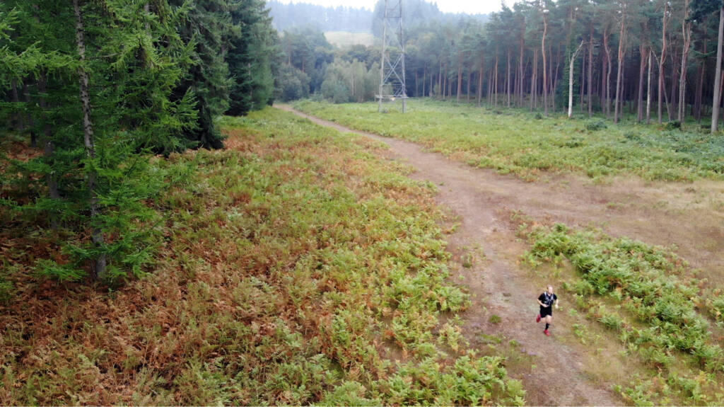 Running a trail between following a power line between two sections of commissioned forest.