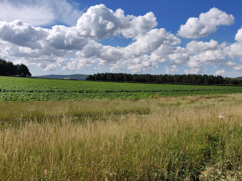 afternoon over a farm field with a trail running alongside it