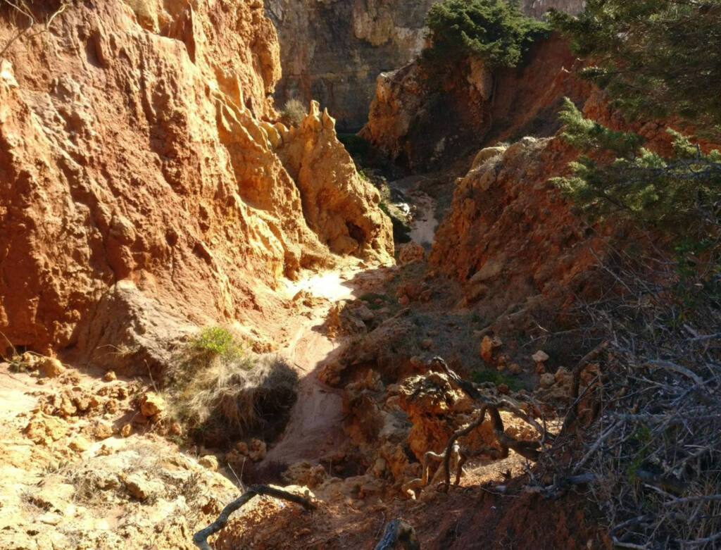 lots of rocks on a coastal trail.