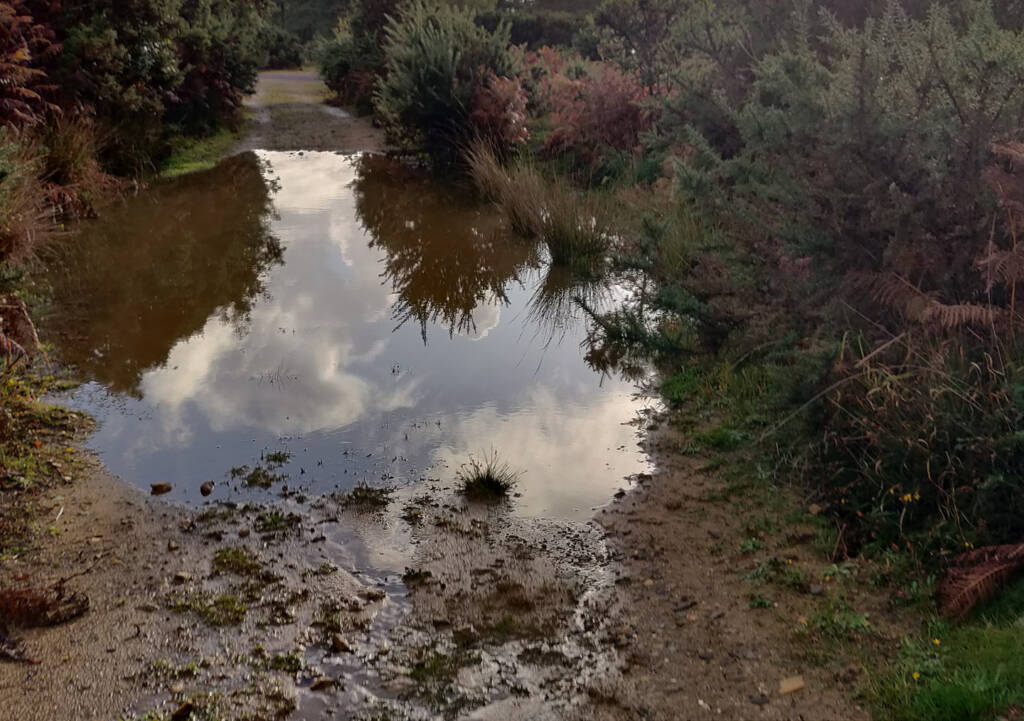 Saucony Peregrine 10 review - wet and muddy