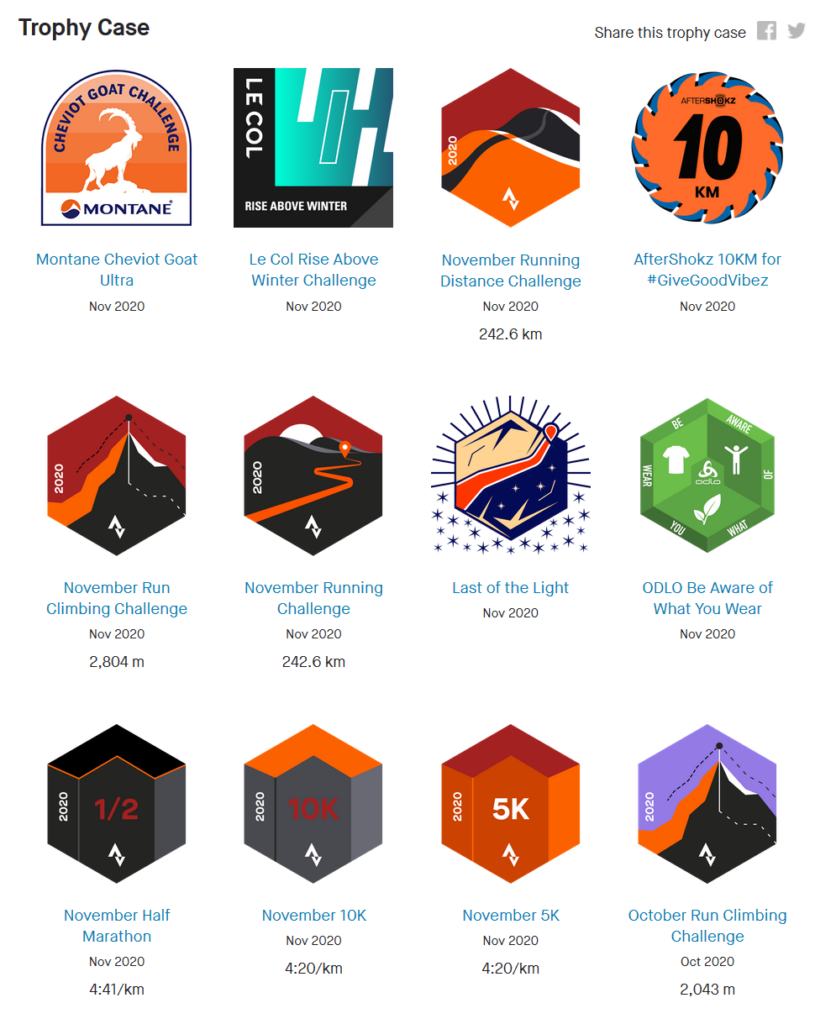 setting goals and achieving badges for the trophy case