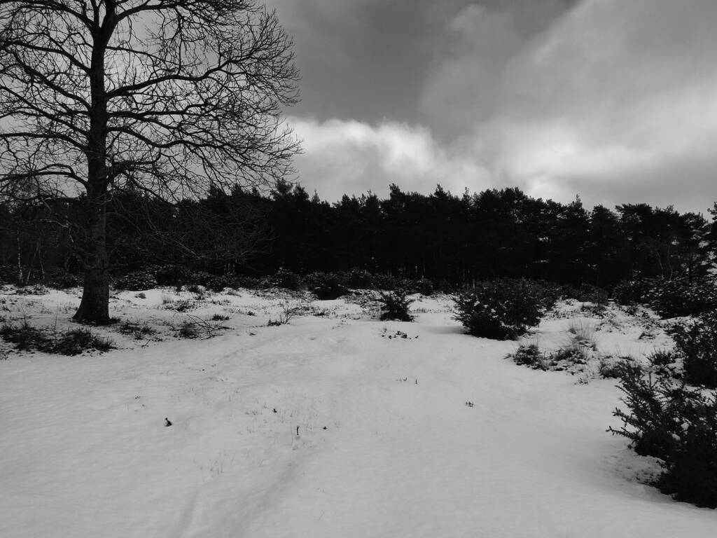 trail running motivation