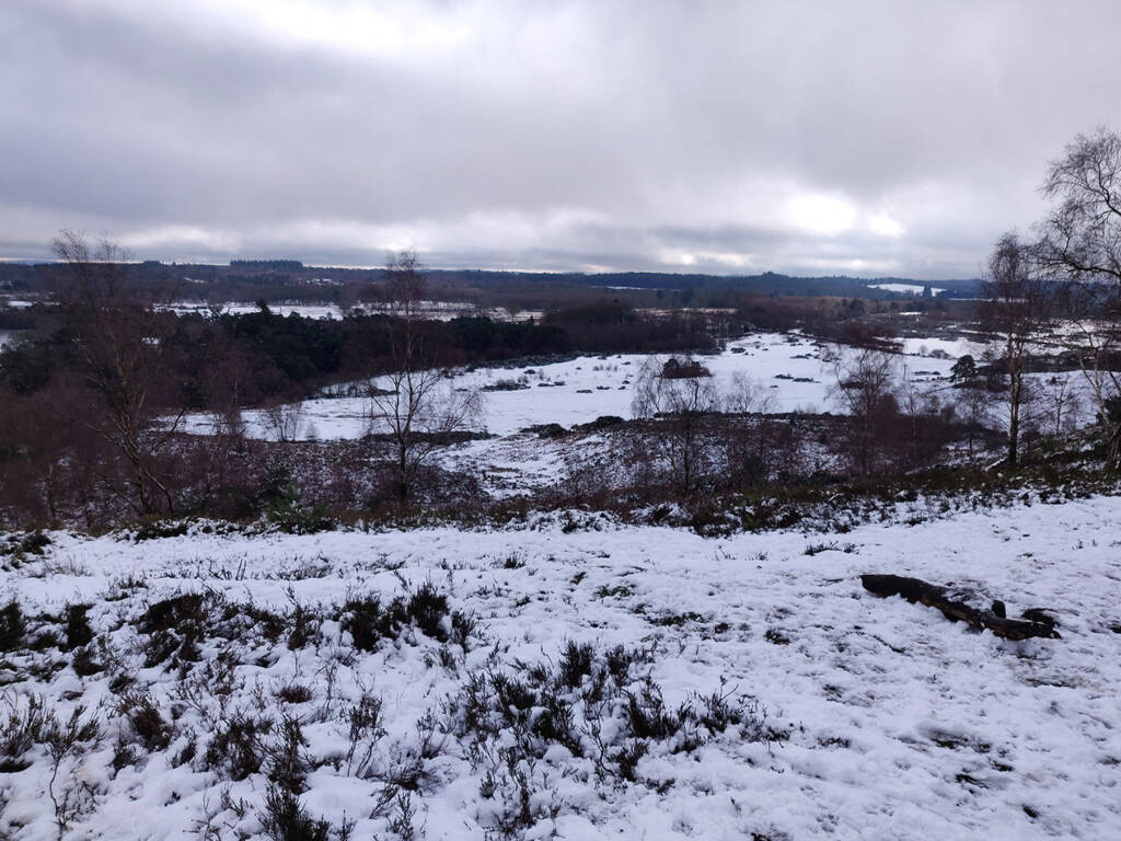 trail running motivation - great views