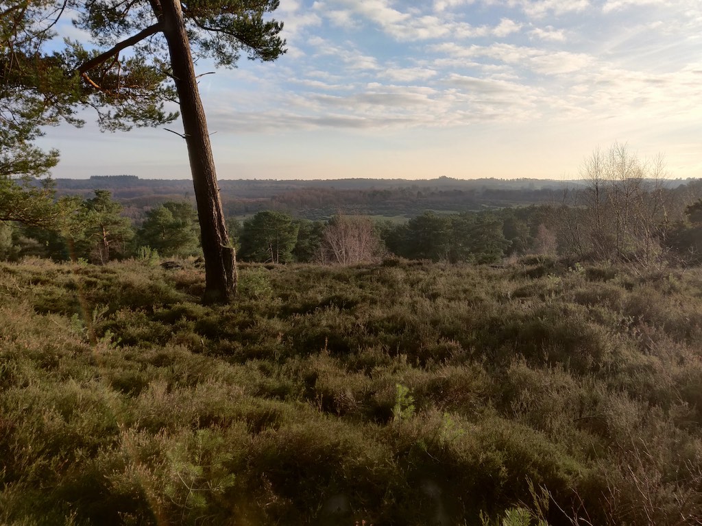 A view at sun down near weaver's down, Deer's Hut