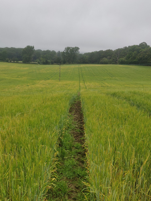 farm fields